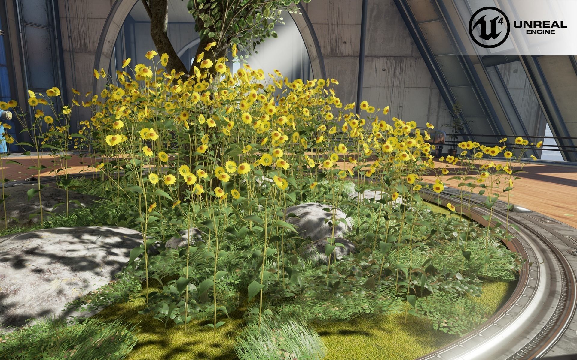 Daisies universal model Low-poly 3D model_2