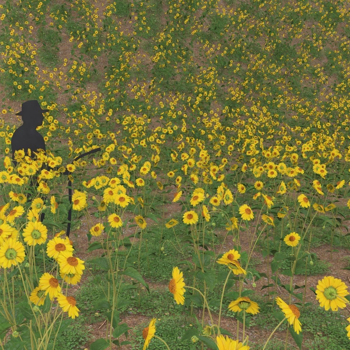 Daisies universal model Low-poly 3D model_1