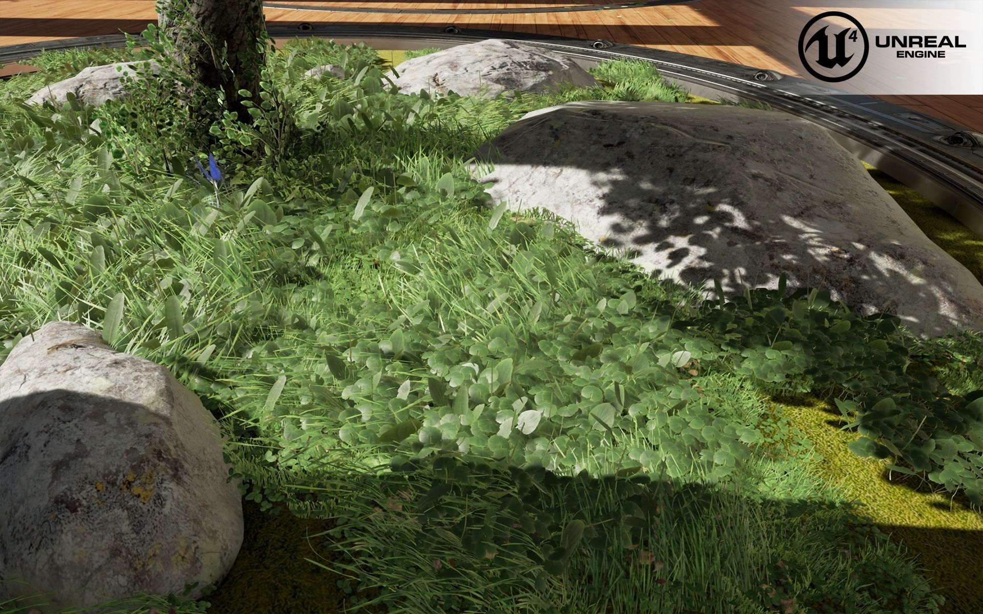 Pennywort ground filler Low-poly 3D model_1