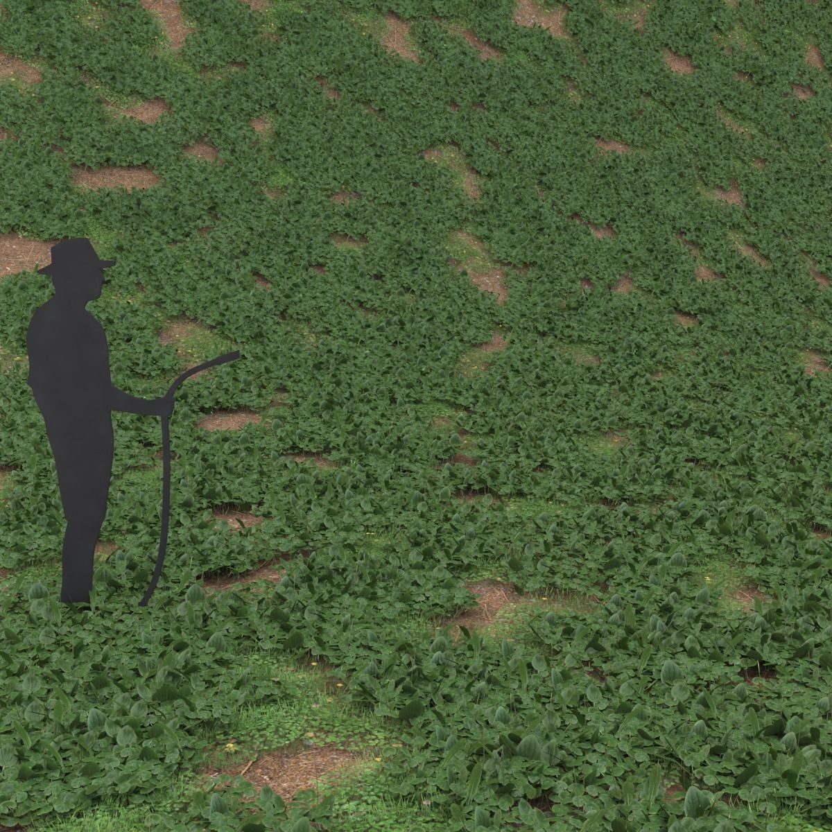 Pennywort ground filler Low-poly 3D model_2