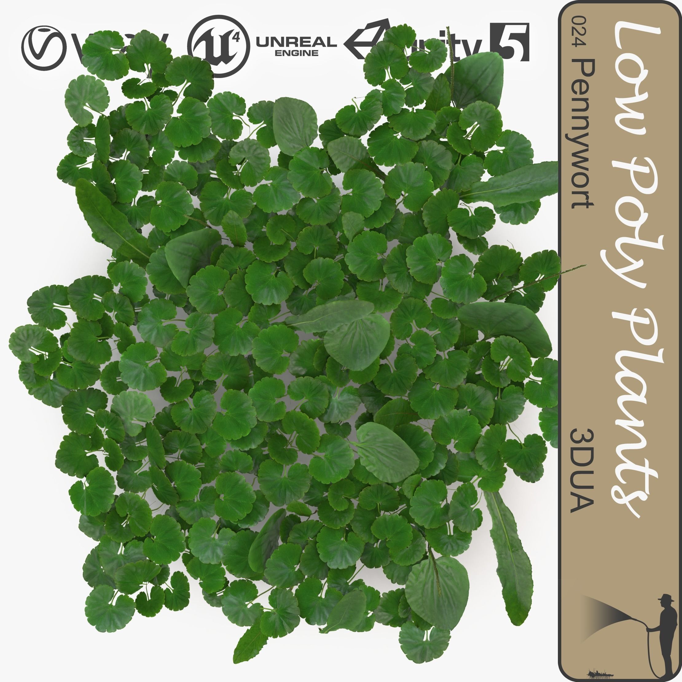 Pennywort ground filler Low-poly 3D model_0