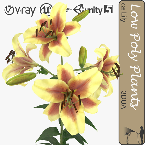 Lily flower Low-poly 3D model