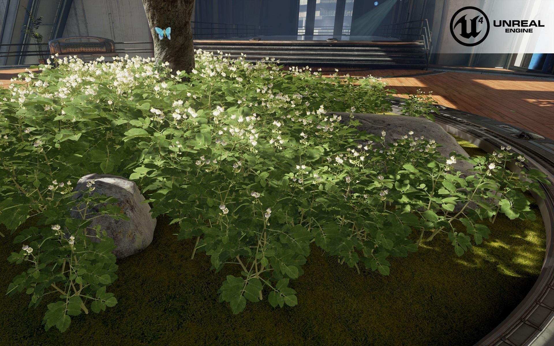 Potato plant Low-poly 3D model_1