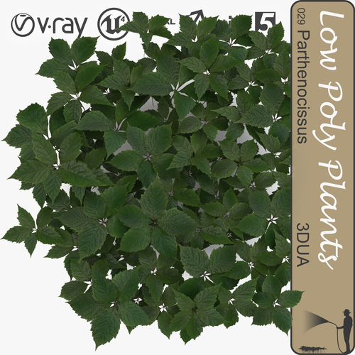 Parthenocissus ground filler Low-poly 3D model