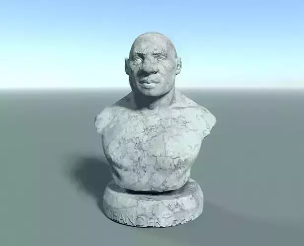 Neanderthal Bust Low Poly Low-poly 3D model