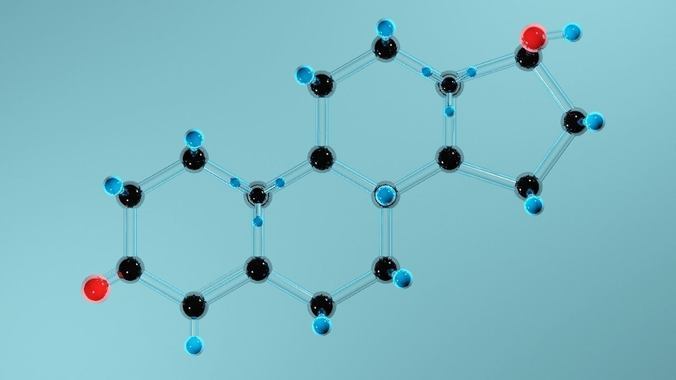 Testosterone 3D model