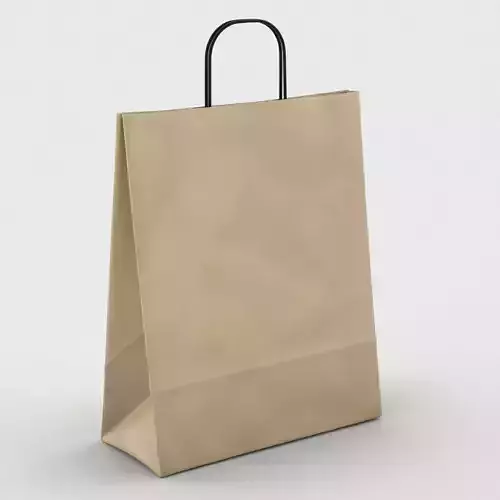 Paper pack or gift pack 3D model