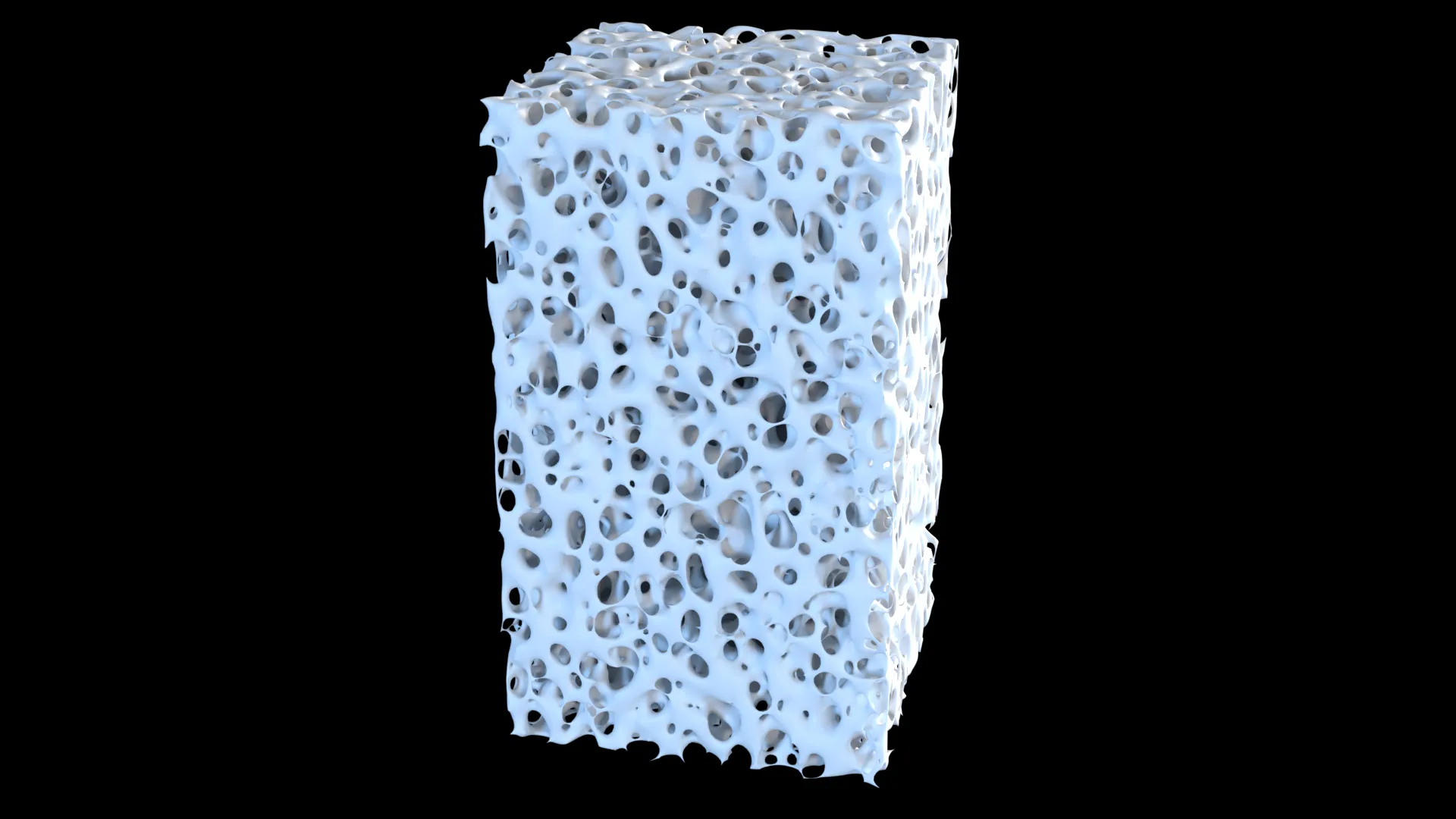 Bone Sponge 3D model 3D printable | CGTrader