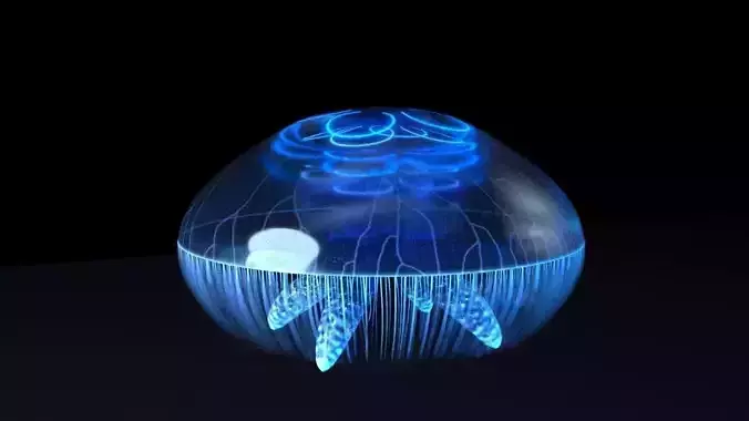 Jellyfish with UE4 Support Low-poly 3D model