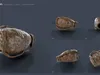 Mud and Clay Workshop Pack Small 3D model | CGTrader