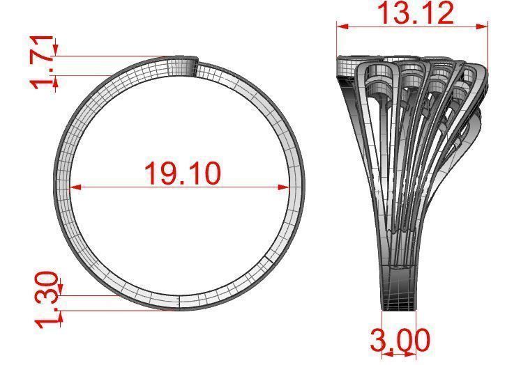 Ring Wings Embracing Finger 3D print model_7