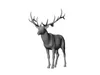 3D model Realistic Deer Stag 3D Model High-Detail Wildlife Animal VR ...