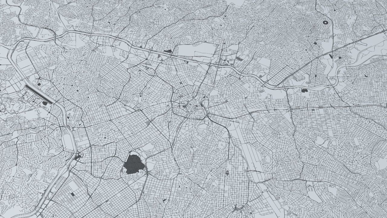 Sao Paulo Road Network and Streets 3D model_7