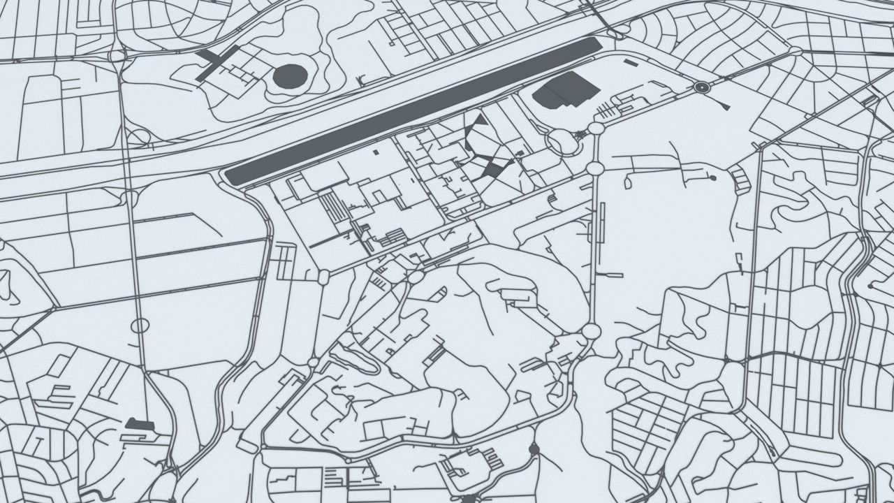 Sao Paulo Road Network and Streets 3D model_6