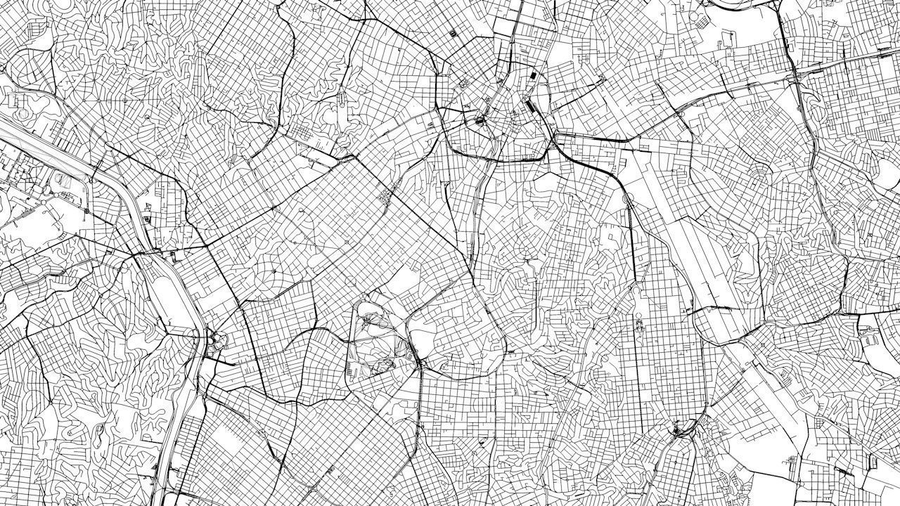 Sao Paulo Road Network and Streets 3D model_15