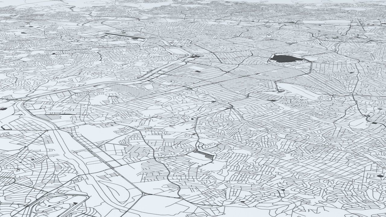 Sao Paulo Road Network and Streets 3D model_5