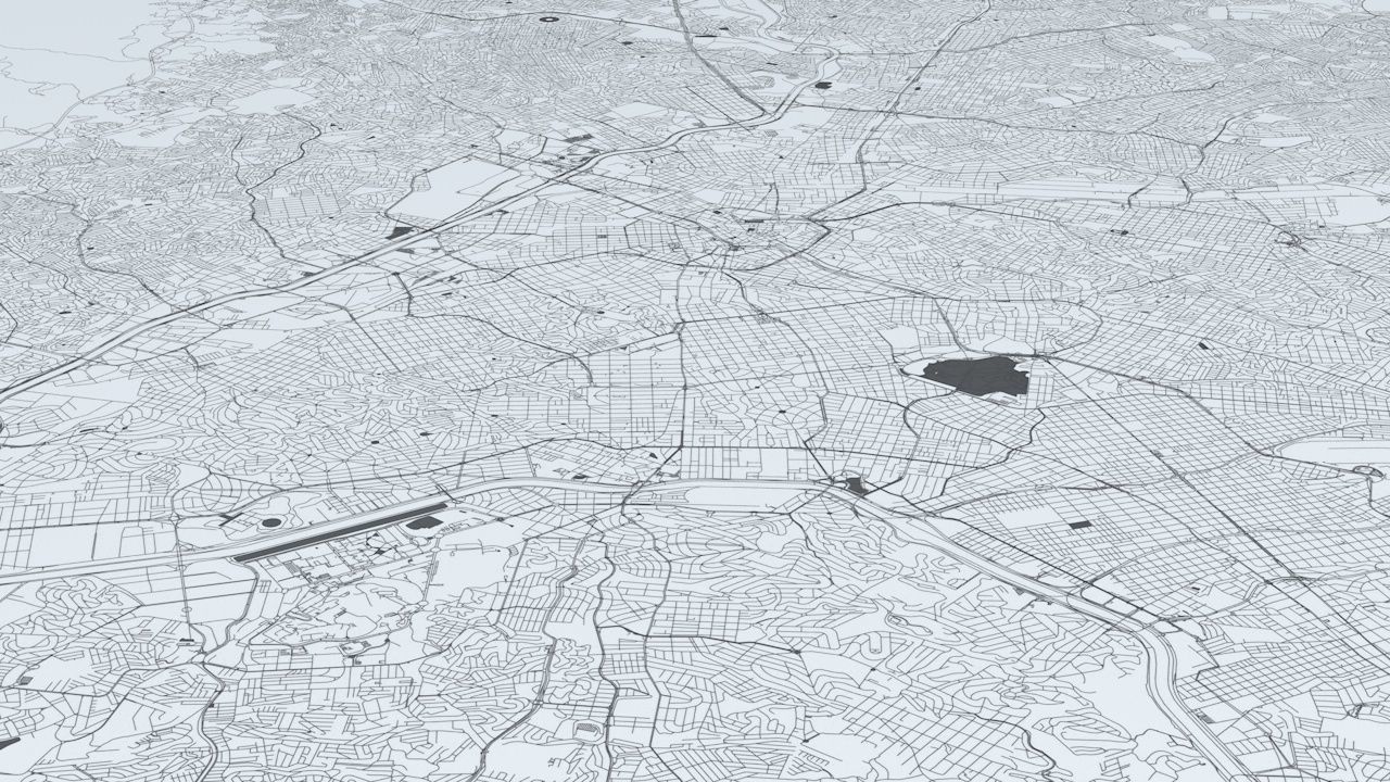 Sao Paulo Road Network and Streets 3D model_3