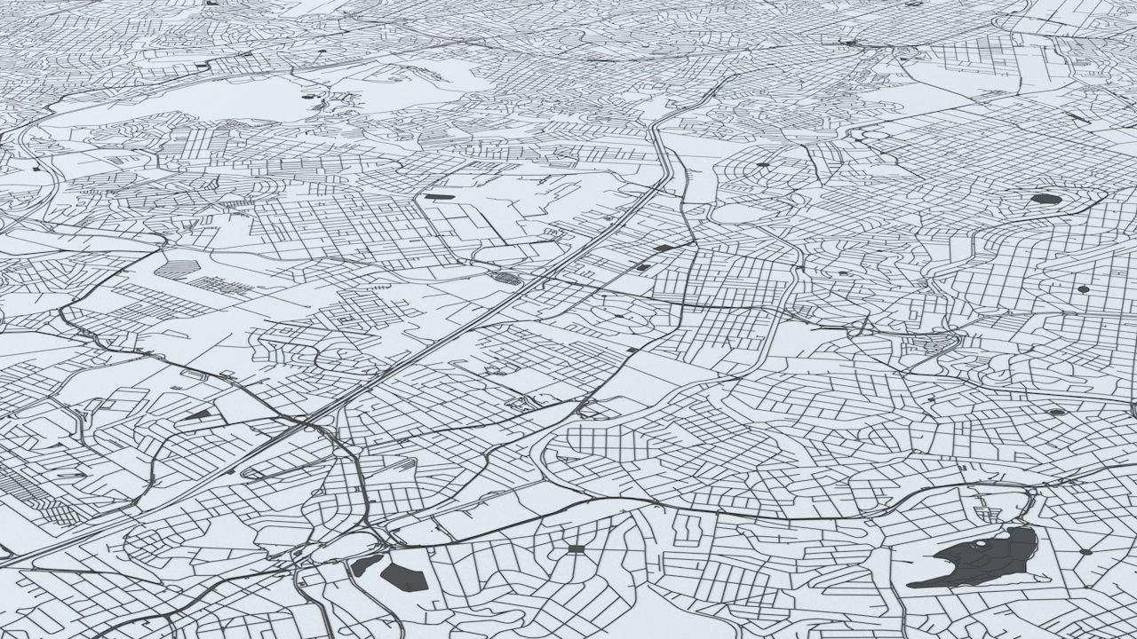 Sao Paulo Road Network and Streets 3D model_8