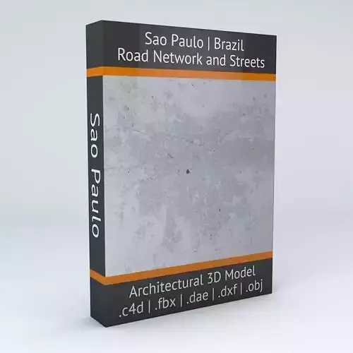 Sao Paulo Road Network and Streets 3D model