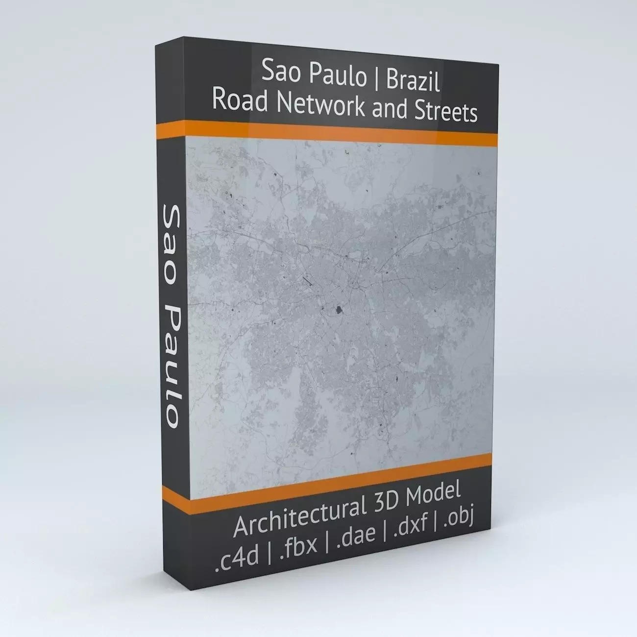 Sao Paulo Road Network and Streets 3D model_0