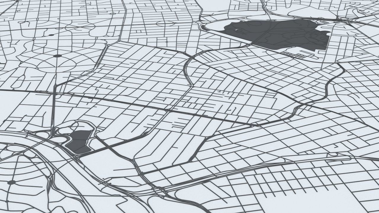 Sao Paulo Road Network and Streets 3D model_9