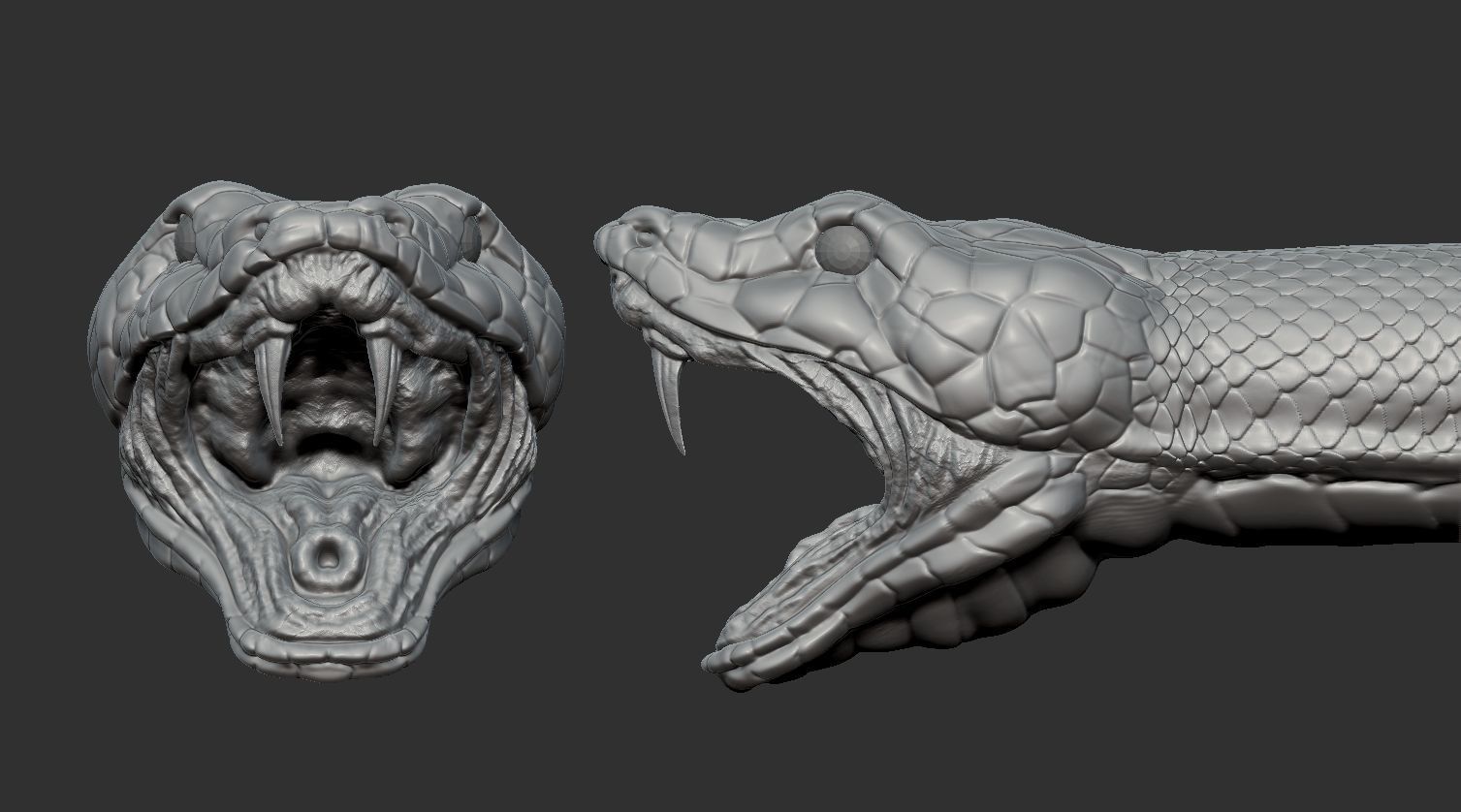 snake head Low-poly 3D model_2