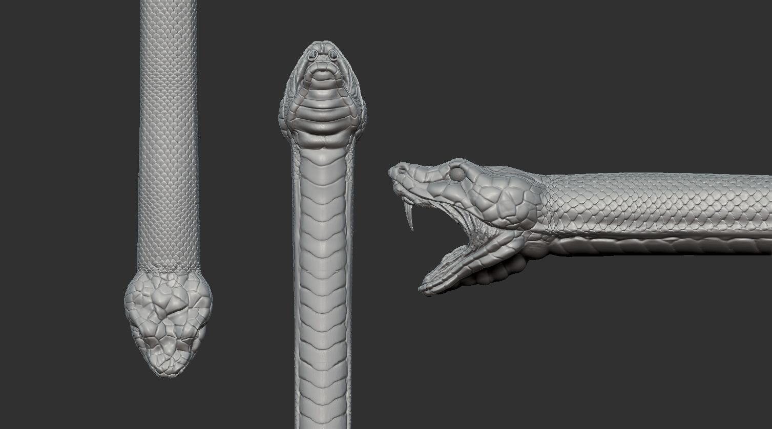 snake head Low-poly 3D model_1