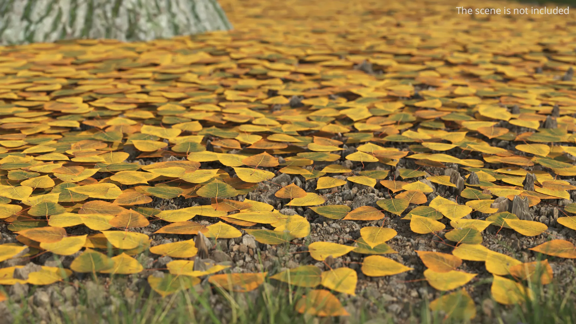 Autumn Fallen Leaves 3D model | CGTrader
