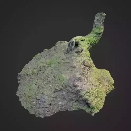 3d scanned nature forest stuff 006