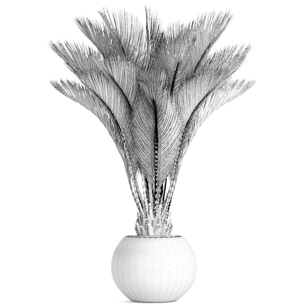 Palm tree 3D model_7