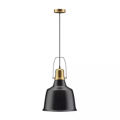 Black and Gold Ceiling Lamp
