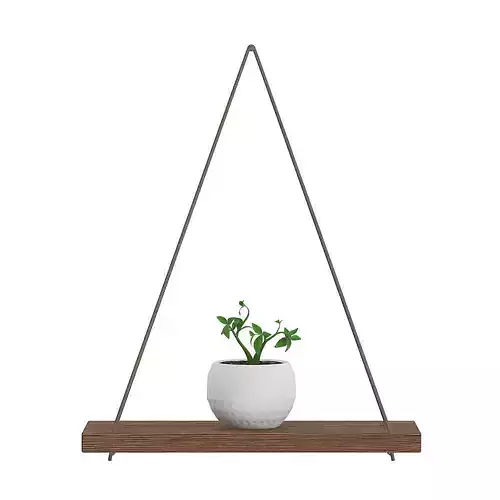 Wall Shelf on the Rope with Small Plant