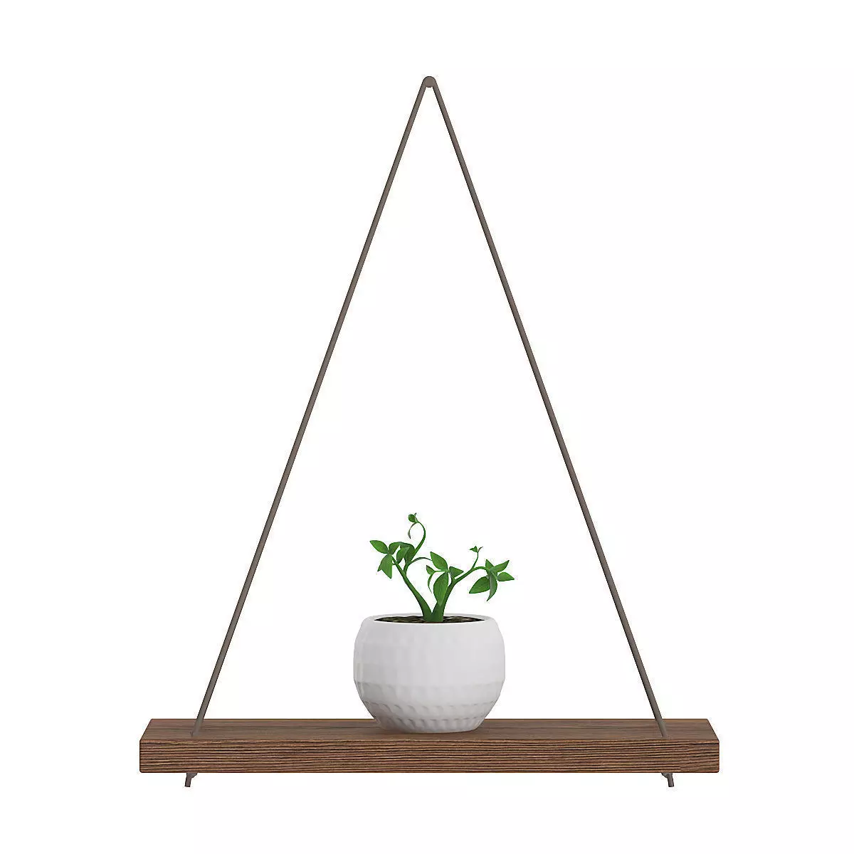 Wall Shelf on the Rope with Small Plant 3D model_0