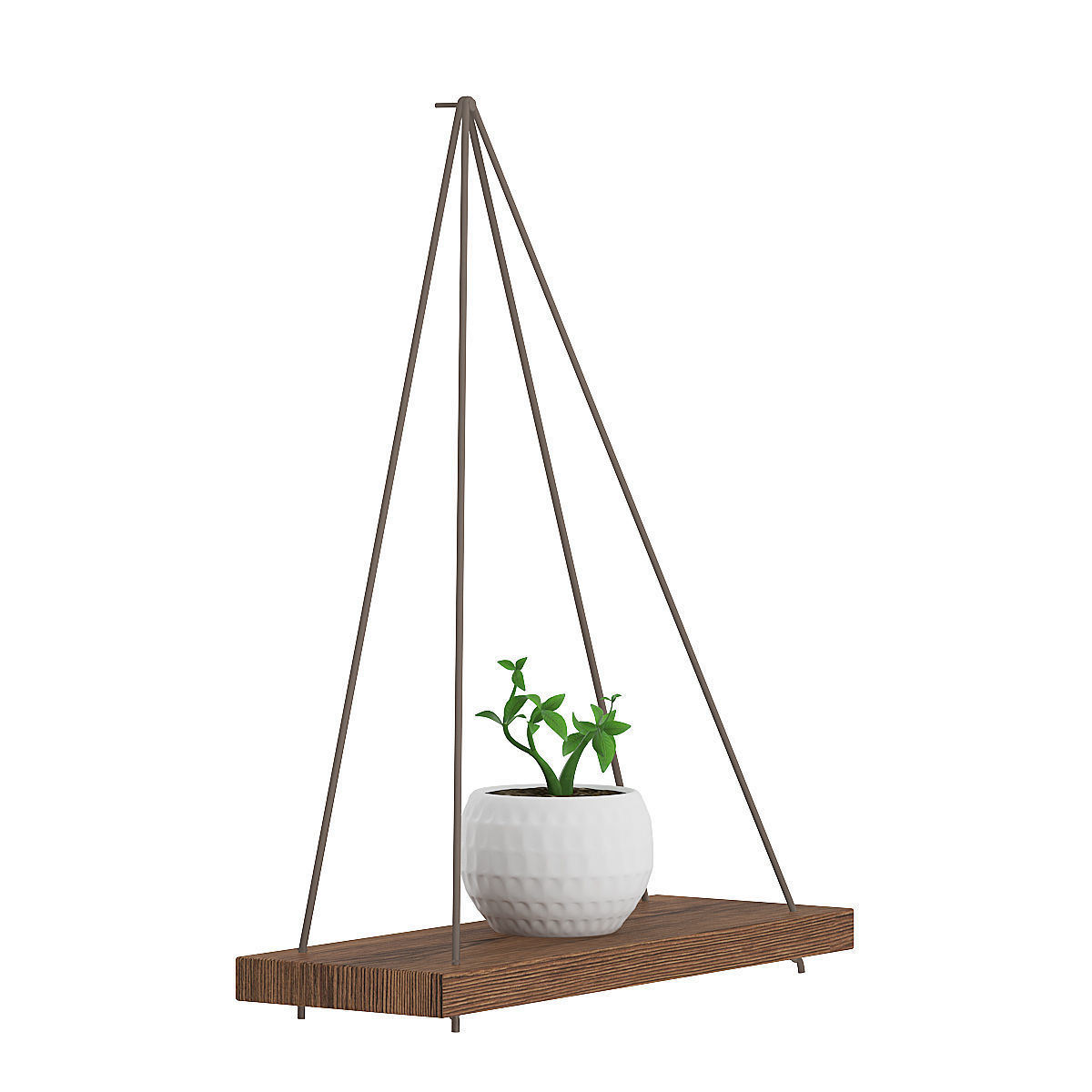 Wall Shelf on the Rope with Small Plant 3D model_1