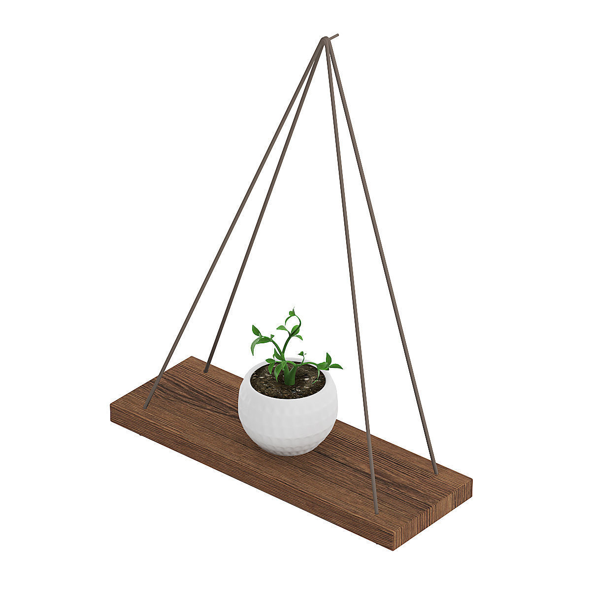 Wall Shelf on the Rope with Small Plant 3D model_2
