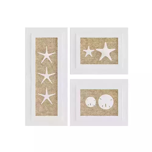 Starfish Wall Decoration