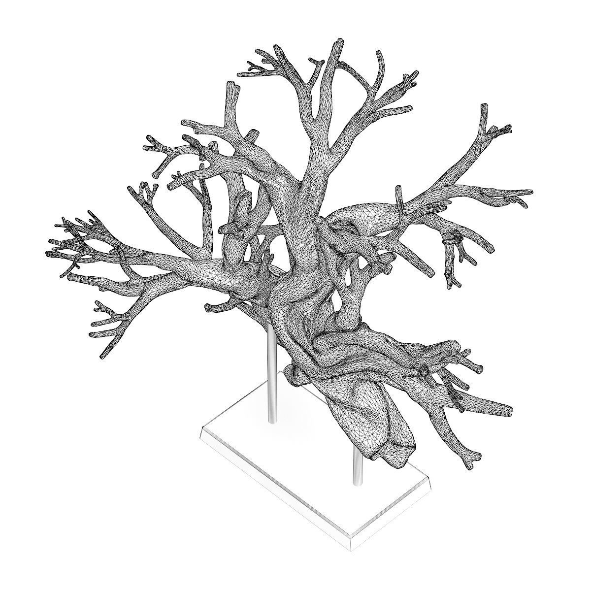 Tree Root Decoration 3D model_5