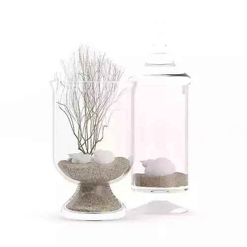 Glass Containers with Sand and Shells