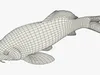 Koi Carp Swimming Animated Rigged For Blender 3D model animated rigged ...