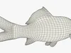 Koi Carp Swimming Animated Rigged For Blender 3D model animated rigged ...