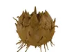 3D model Avalon Flora 12 VR / AR / low-poly | CGTrader