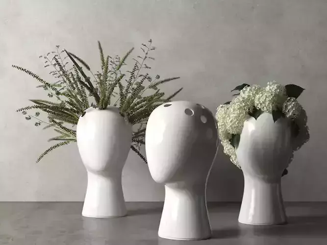 Wig Vases with Plants