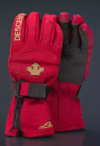 SKI Gloves