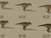 3D model Low Poly and Realistic Dinosaurs Animated VR / AR / low-poly ...