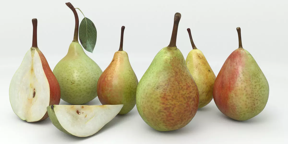 Pear 3d models 3D model
