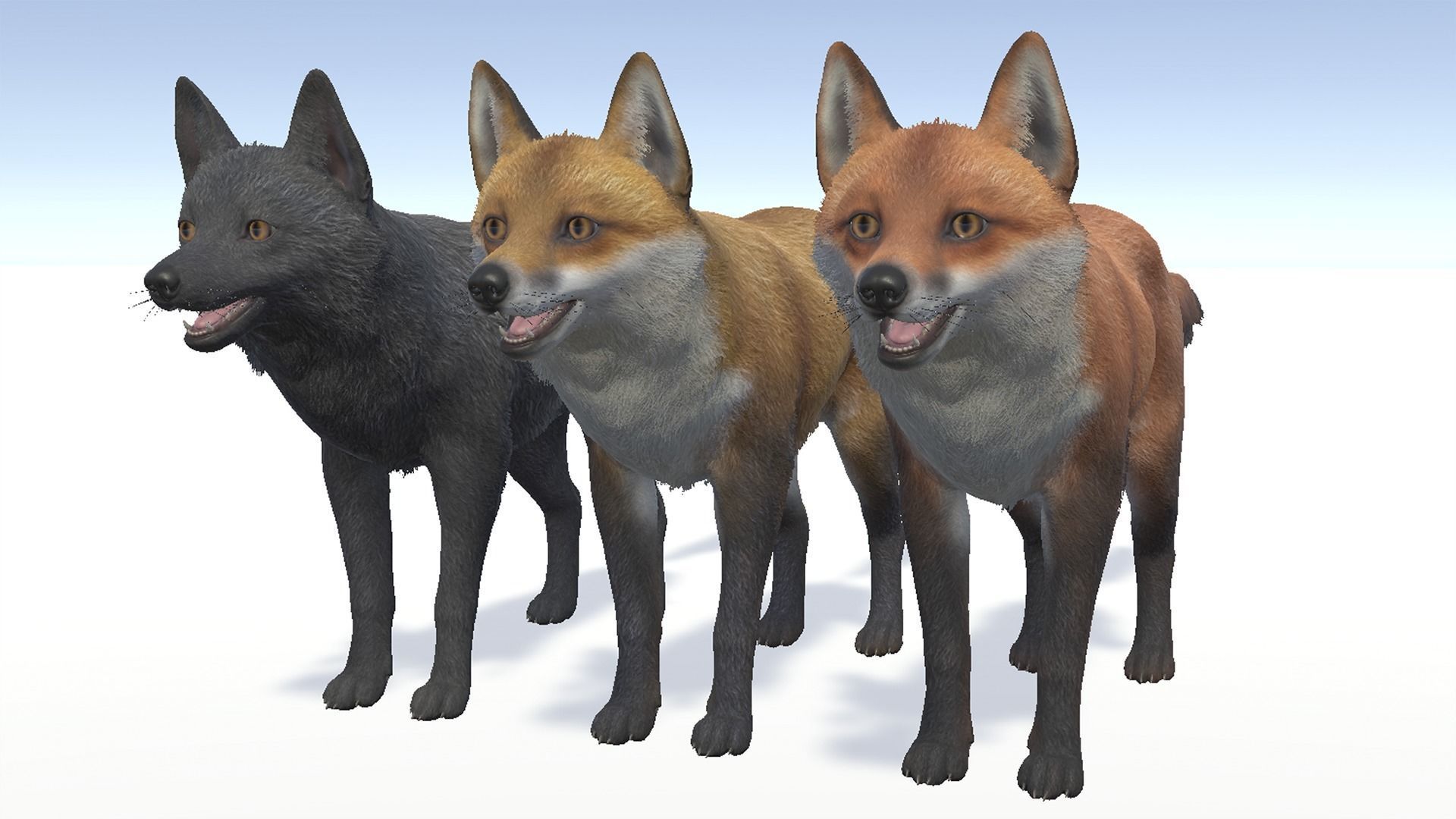 Fox - Male Low-poly 3D model_14