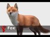 Fox - Male Low-poly 3D model_1