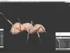 Realistic Red Ant Insect 3D model | CGTrader