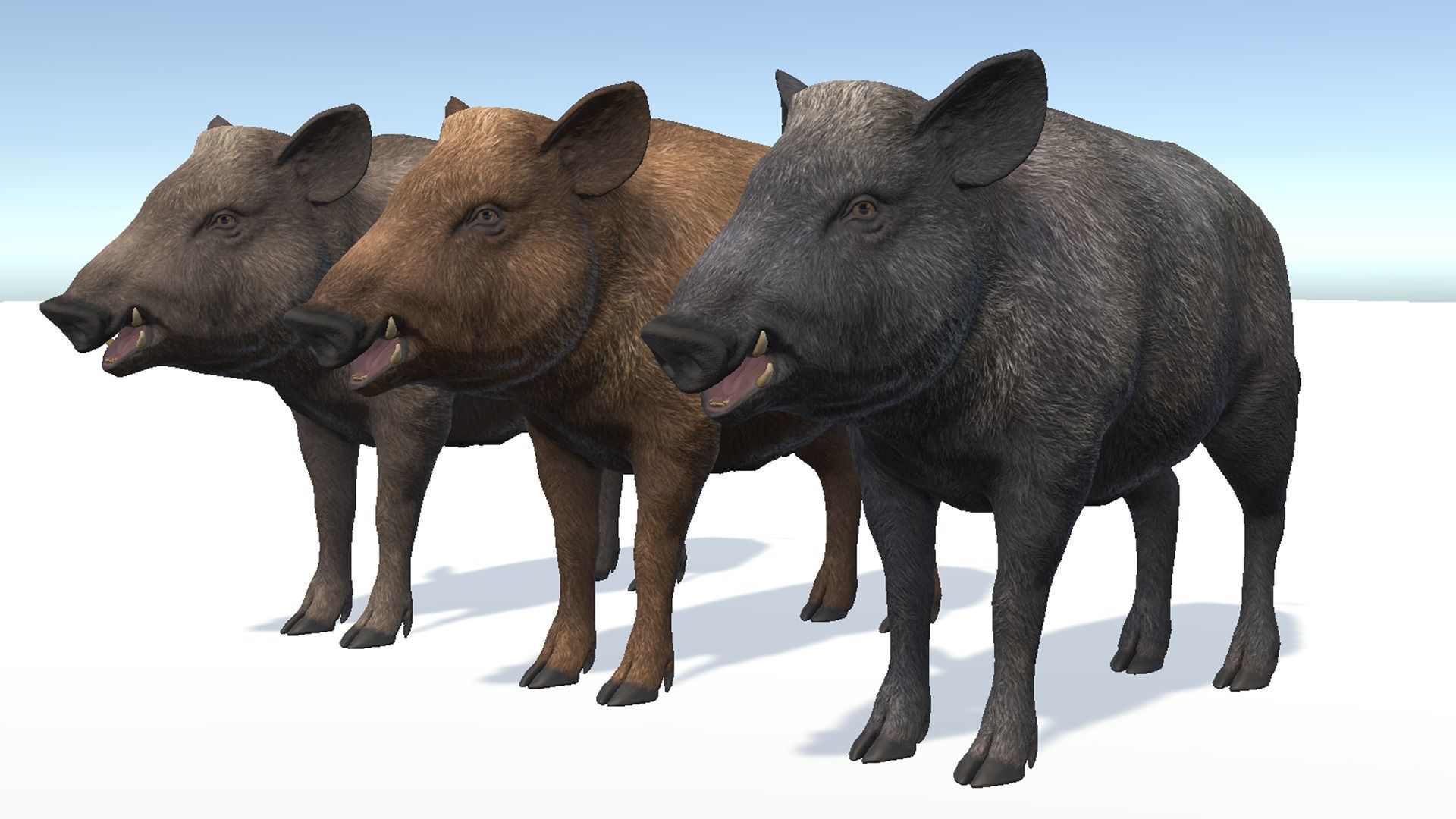 Wild Boar - Female Low-poly 3D model_9