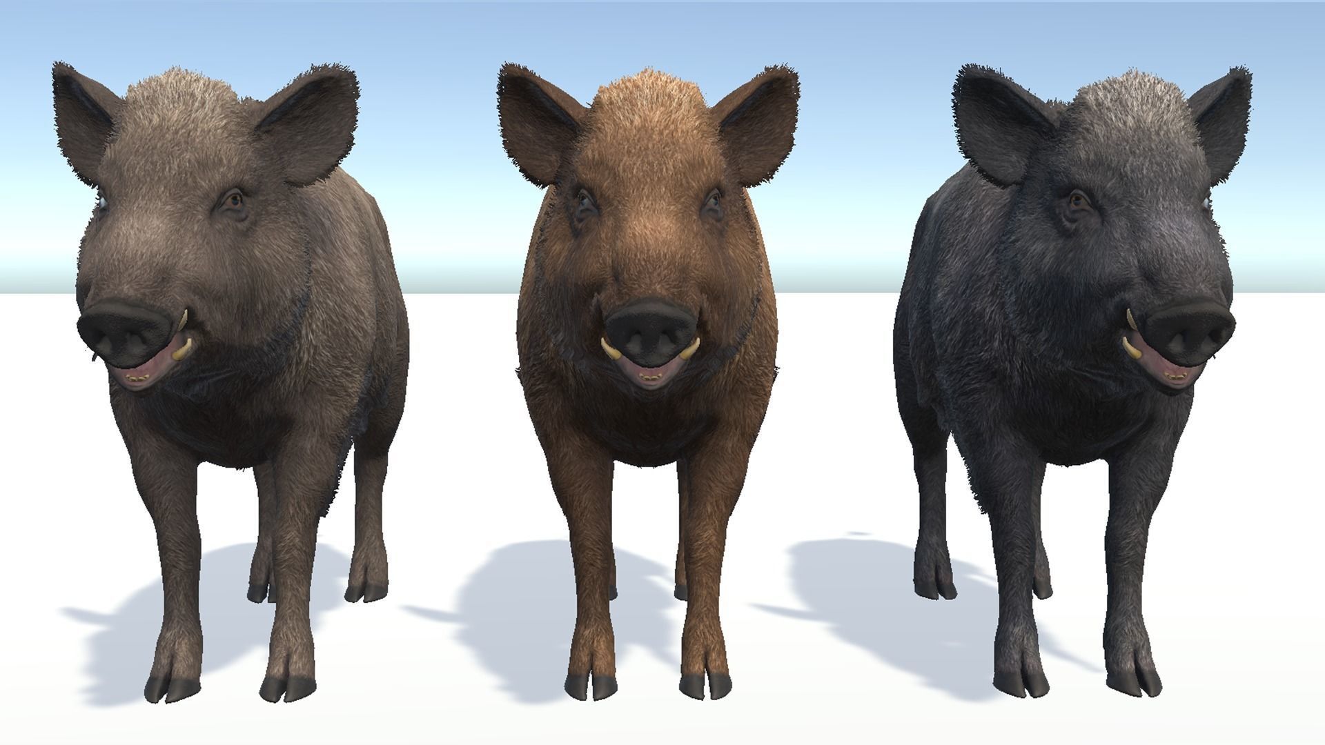 Wild Boar - Female Low-poly 3D model_5